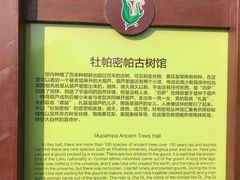 -呀路古热带植物园