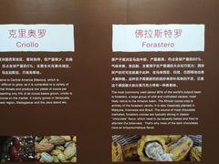 -歌斐颂巧克力小镇