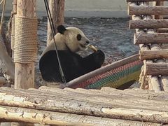 -石家庄市动物园