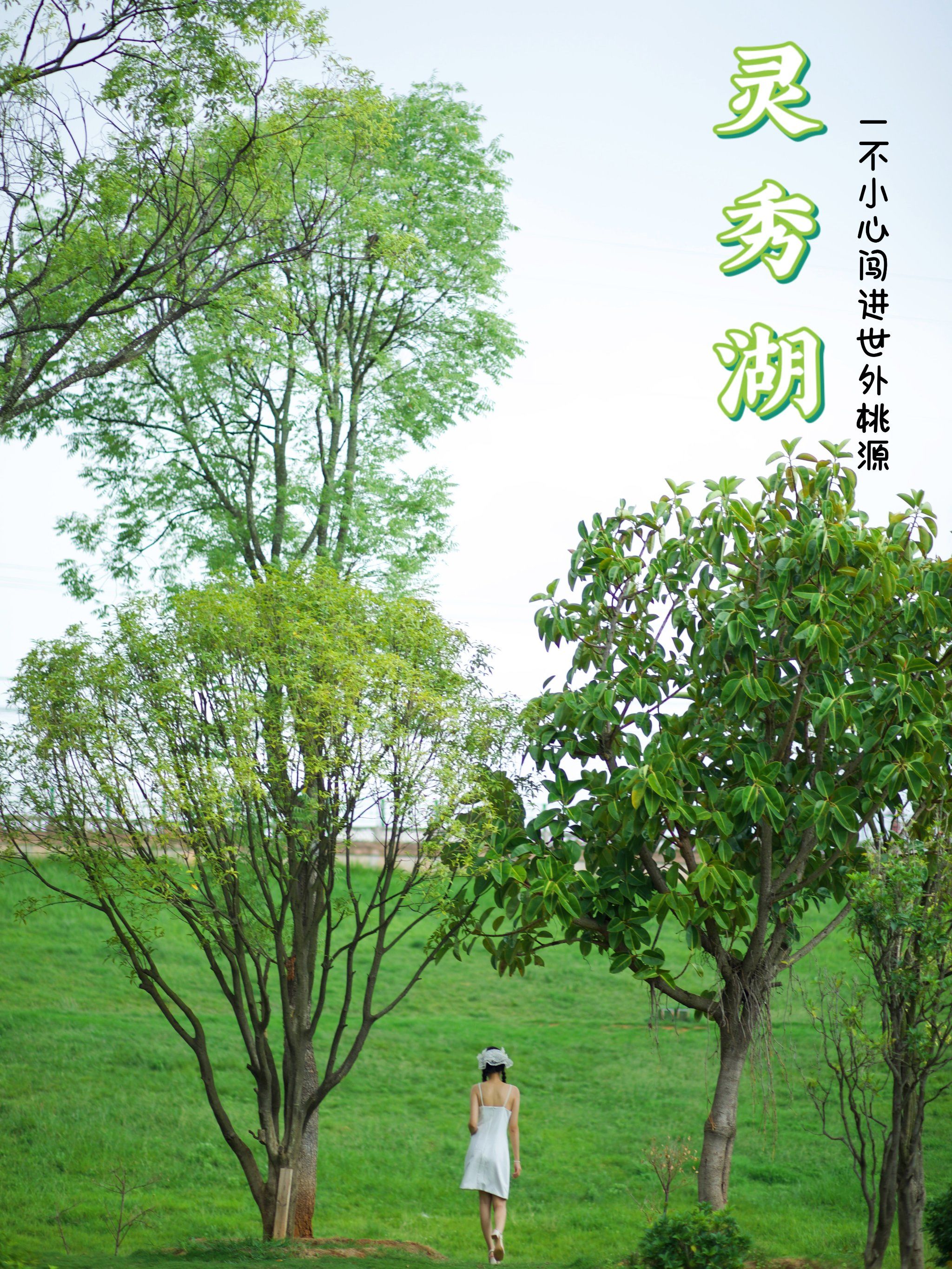 💦楚雄世外桃源,邂逅灵秀湖的浪漫与宁静