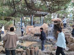 -辽宁大学(崇山校区)