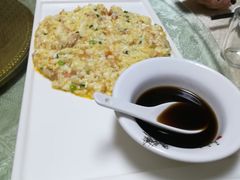 -丁老爷子苏香圆
