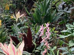 -上海辰山植物园