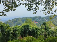 -莫干山风景区