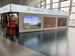 -温州龙湾国际机场