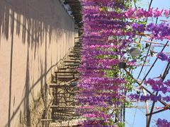 -呀路古热带植物园