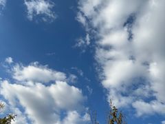 -苏州河梦清园环保主题公园