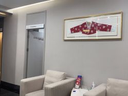 -上海首尔丽格医疗美容医院