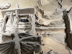 -洛阳周王城天子驾六博物馆