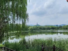 -北坞公园