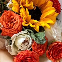 -贝瑞佳月子会所(杭州旗舰店)