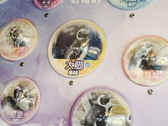 -海合安武汉极地海洋公园