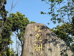 -福建鲤鱼洲酒店