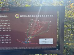 -王顺山国家森林公园