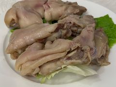 -丁老爷子苏香圆