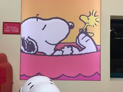 -史努比缤纷世界