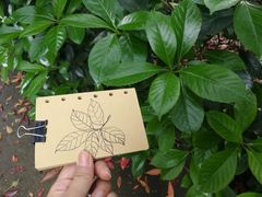 -湖南省立第一师范学校旧址