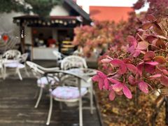 -云峰山自然风景区