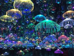 -天津梵高星空艺术馆(天河城旗舰店)