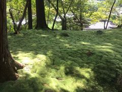 -西芳寺(苔寺)