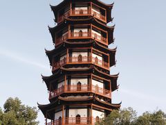 -绳金塔