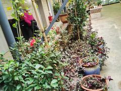-阳光山水江湖菜馆(西山龙门店)