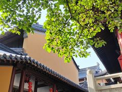 -灵谷景区