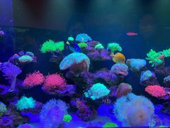 -海合安成都极地海洋公园