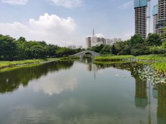 -映月湖公园