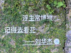 -马峦山郊野公园