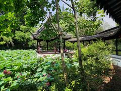 -上海醉白池公园