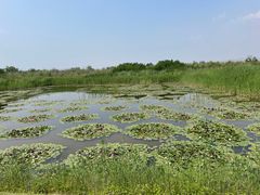 -处女泉风景名胜区