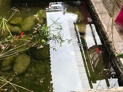 -浔岚云舍mist静谧观景美宿(丽江古城店)