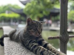 -西园戒幢律寺
