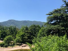 -国家植物园南园