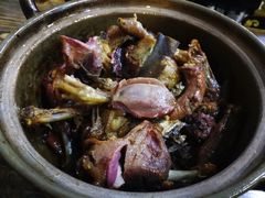 -斯丹姜母鸭·古法干香(涂门街总店)