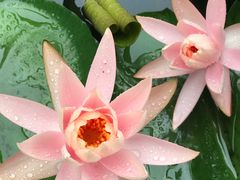 -苏州河梦清园环保主题公园