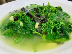 上汤浸桑叶-红日饭店(裕隆三路店)