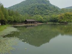 -八卦田遗址公园
