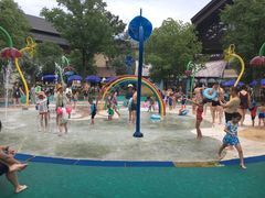 -苏州乐园森林水世界