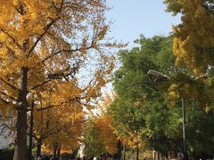 -日本风情街