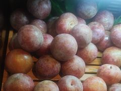 恐龙蛋李子-牛New寿喜烧(虹桥新天地店)