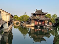 -鲁镇