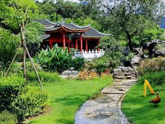 -顺峰山公园