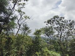 -山王坪喀斯特国家生态公园