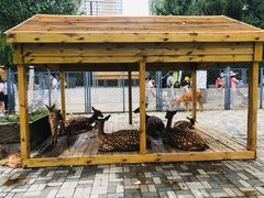 -长白岛森林公园