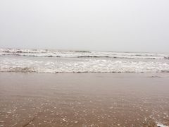 日照海滨国家森林公园-日照海滨国家森林公园