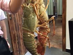 -鹤菊怀石料理(江北店)