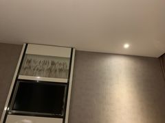 -麗枫(广州番禺长隆南村万博地铁站店)