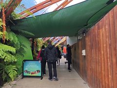 -怀托摩萤火虫洞